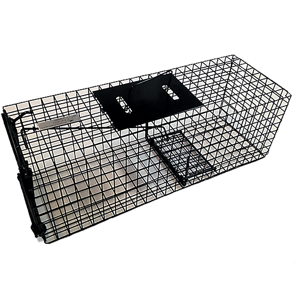 Animal Trap Medium