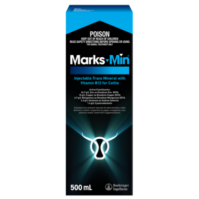 BI Marks Min Plus B12 500ml
