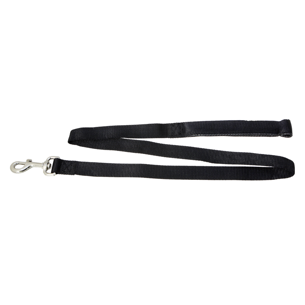 Dog Lead Webbed Padded Handle All Colours