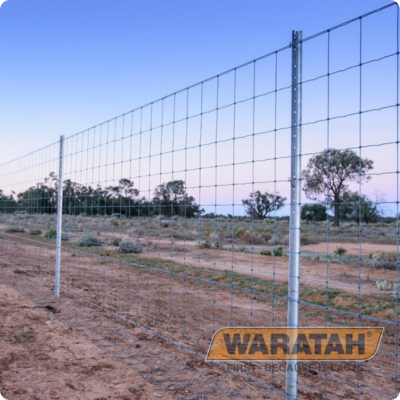 Stocksafe T 15-150-15 250m Waratah Longlife Blue