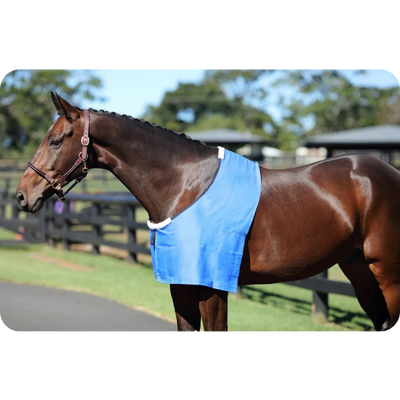 [RUG7700-Pony] Showmaster Delux Rug Bib
