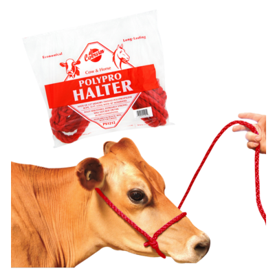 [HPPCOW] Halter Cow Polypro - Red