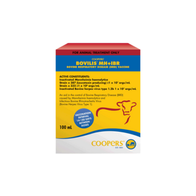 [BOVILIS100ML] Bovilis MH + IBR 100ml