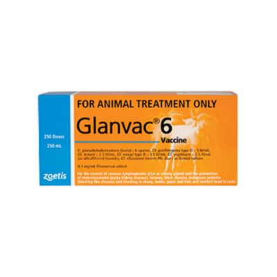 [GLANVAC100ML] Glanvac 6 100ml Zoetis