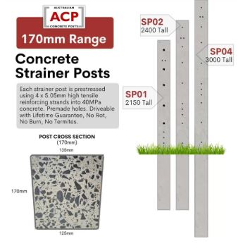 [SP02] Concrete Strainer Post 170mm x 2.4m (8ft) 5/5 Hole (12x16mm) SP02