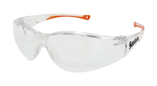 [EBR335] Santa-Fe Clear Safety Glasses Techware
