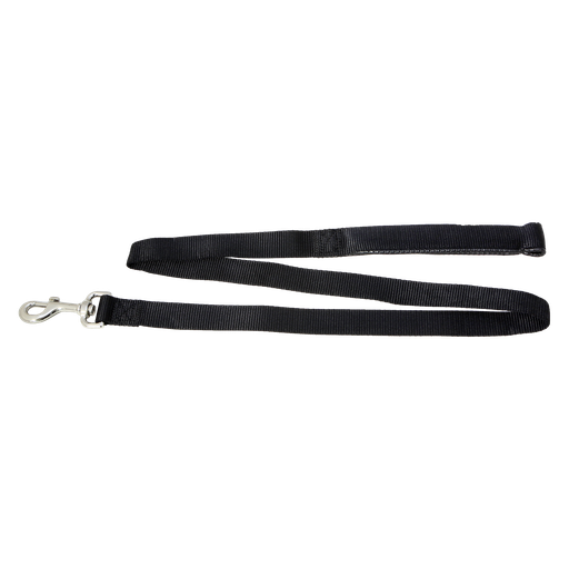 [A7013] Dog Lead Webbed Padded Handle All Colours
