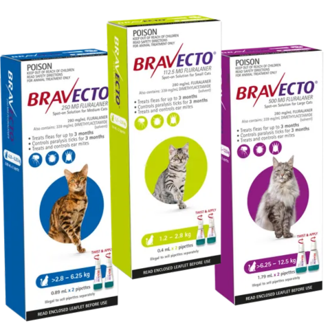 Bravecto Spot-on for Cats