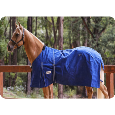 Horse Rug Canvas Winter Rug Blue Unlined (Eureka)