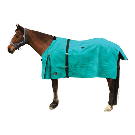 Horse Rug Canvas Winter Green Lined (Eureka)