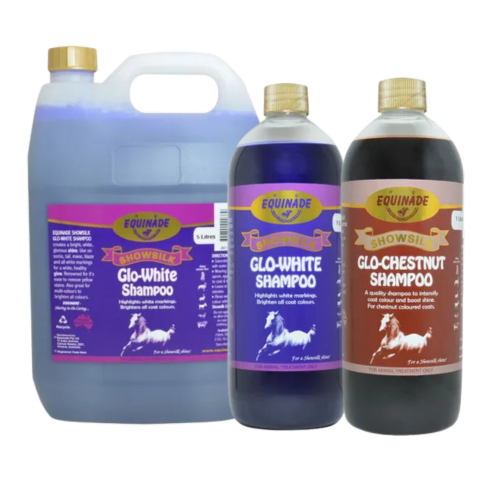 Showsilk Glo Shampoo