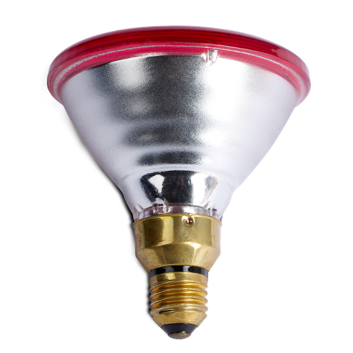 [A8513] Heat Lamp Infrared Red 100w Bainbridge
